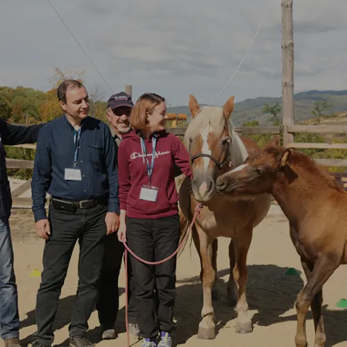 Team Culture – Horse Touch training module