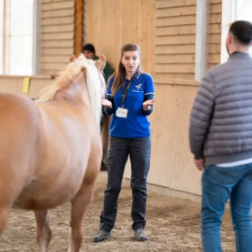 There is no app for learning how to lead yourself and then others